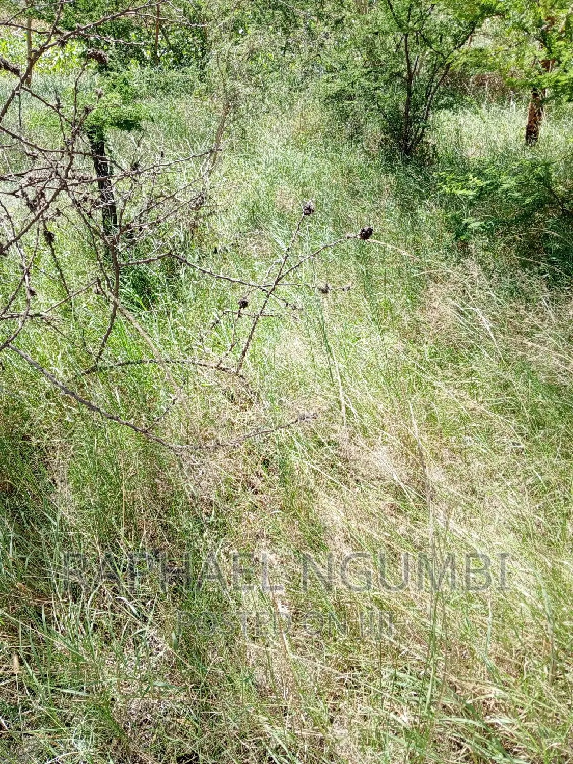 Machakos Muvuti 1.075 Acres in Machakos Town