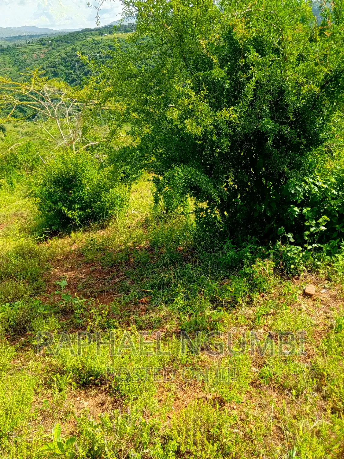 Machakos Muvuti 1.075 Acres in Machakos Town