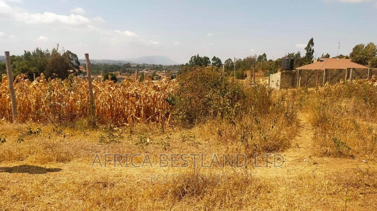 50x100 Plot Kikuyu Kamangu in Kikuyu