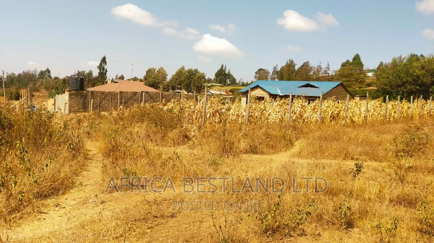 50x100 Plot Kikuyu Kamangu in Kikuyu