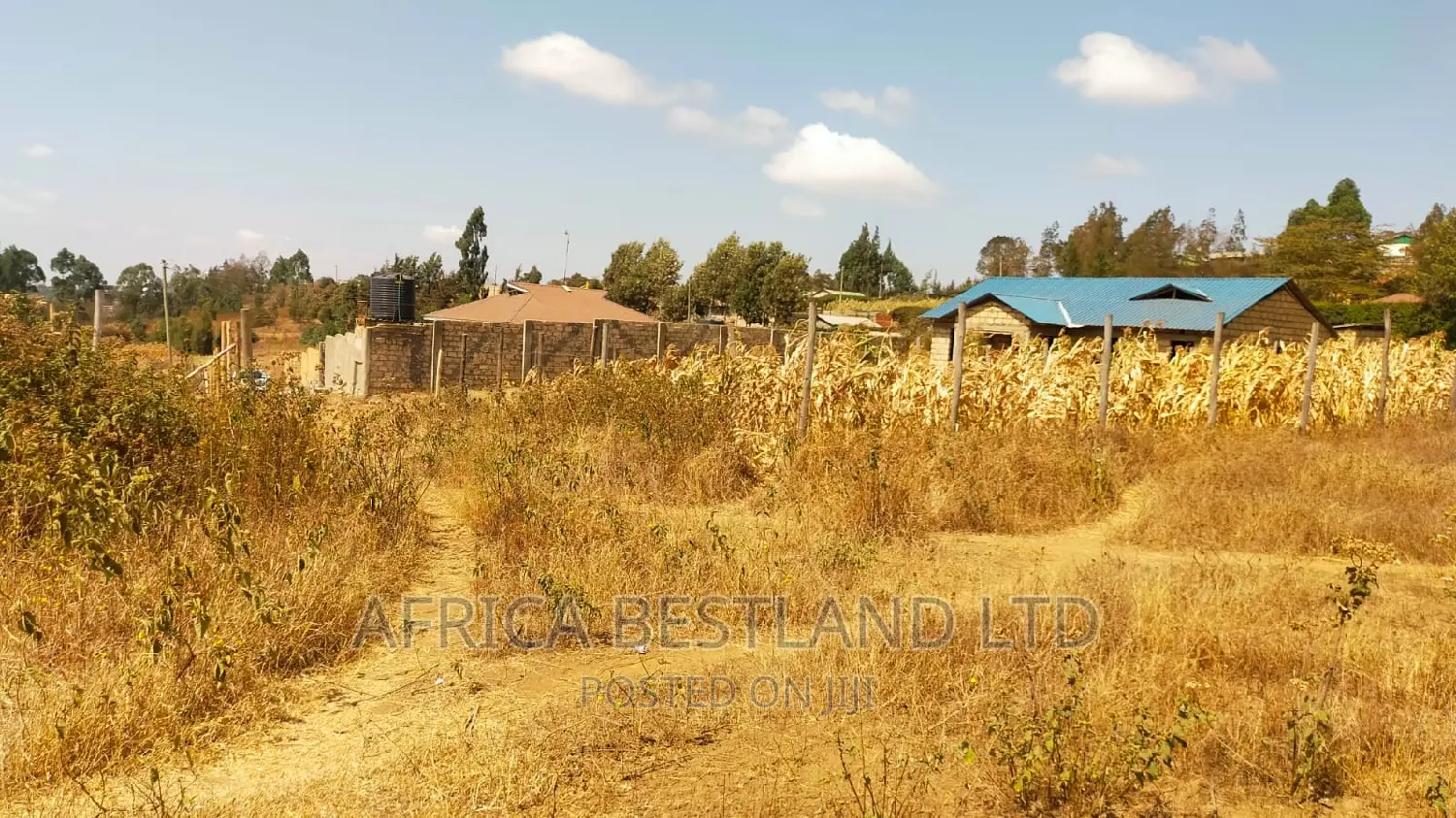 50x100 Plot Kikuyu Kamangu in Kikuyu