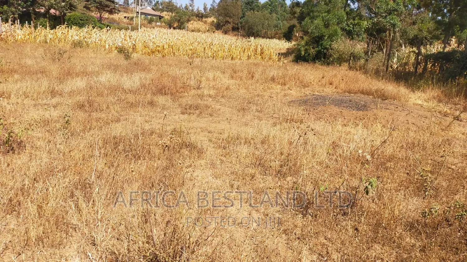 50x100 Plot Kikuyu Kamangu in Kikuyu