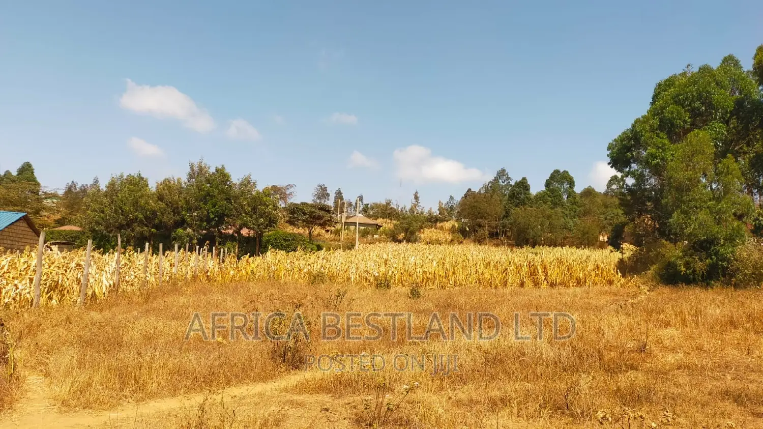 50x100 Plot Kikuyu Kamangu in Kikuyu