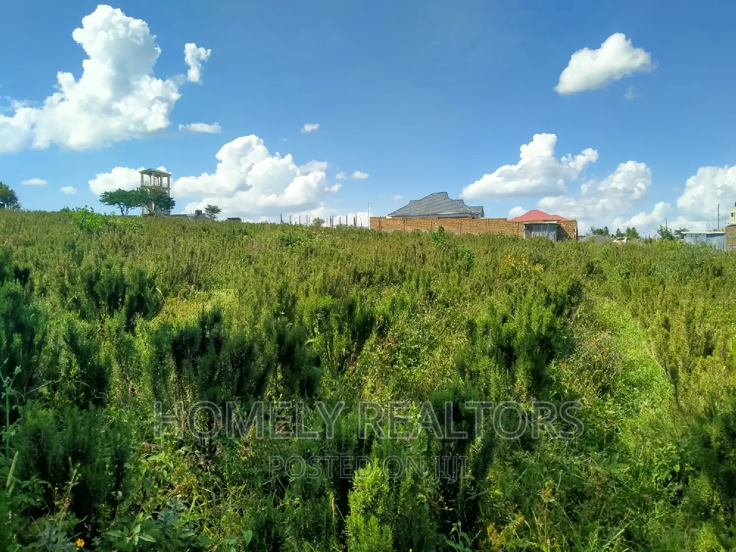 8-acre Residential Land in Kiserian GP: Ready for Home Construction in Kiserian