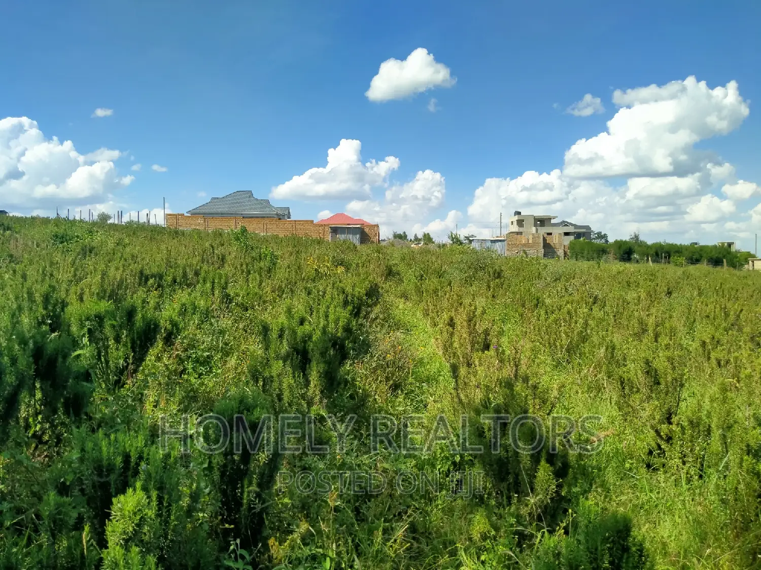 8-acre Residential Land in Kiserian GP: Ready for Home Construction in Kiserian