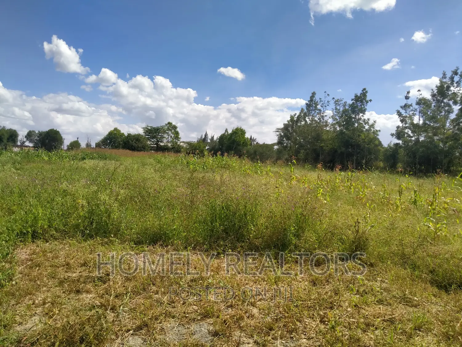 Exclusive 8-Acre Plot in Kiserian GP's Forthcoming Gated Community in Kiserian