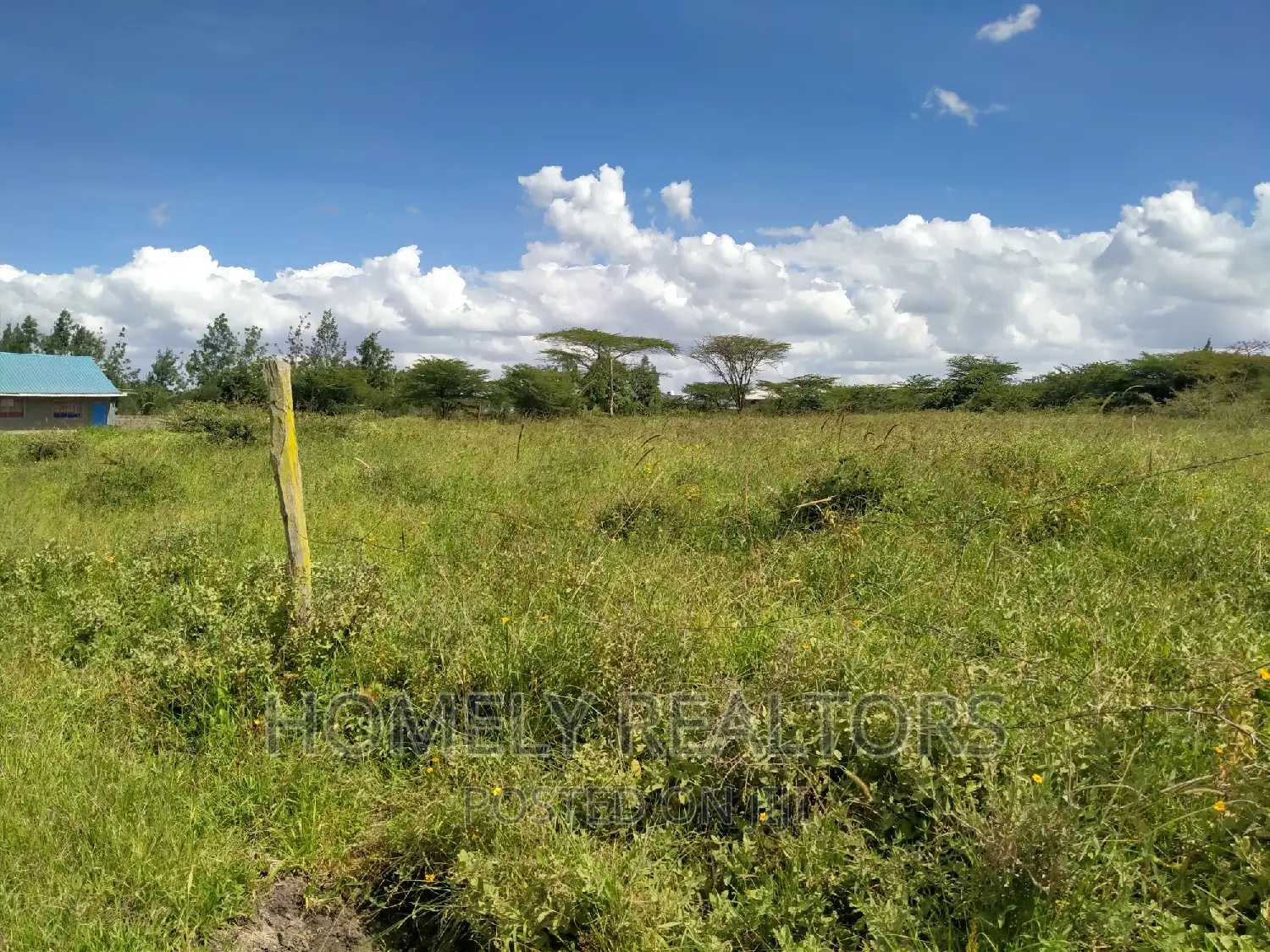 1-Acre Property in Kiserian GP - Residential or Agricultural Opportunity! in Kiserian