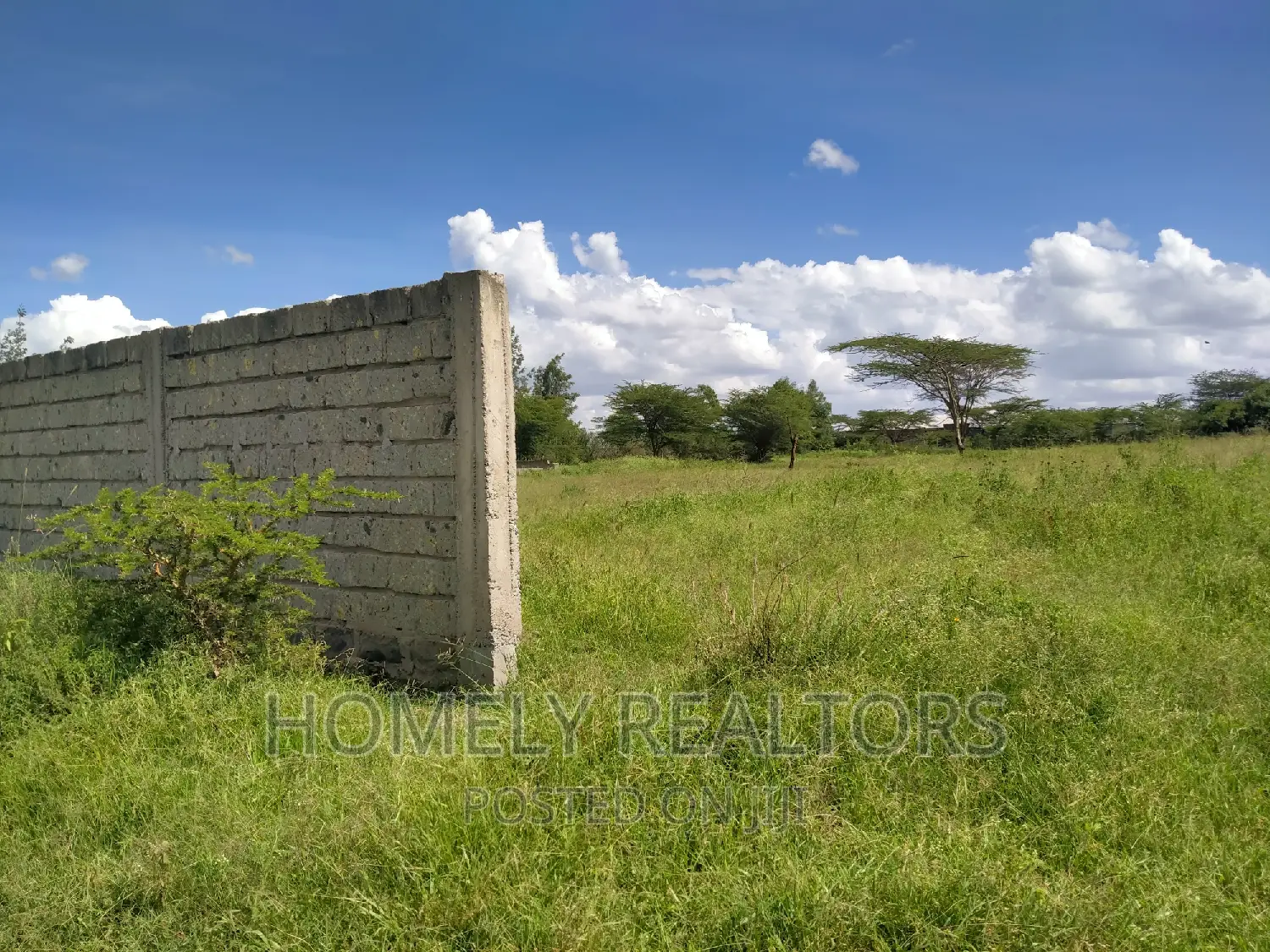1-Acre Property in Kiserian GP - Residential or Agricultural Opportunity! in Kiserian