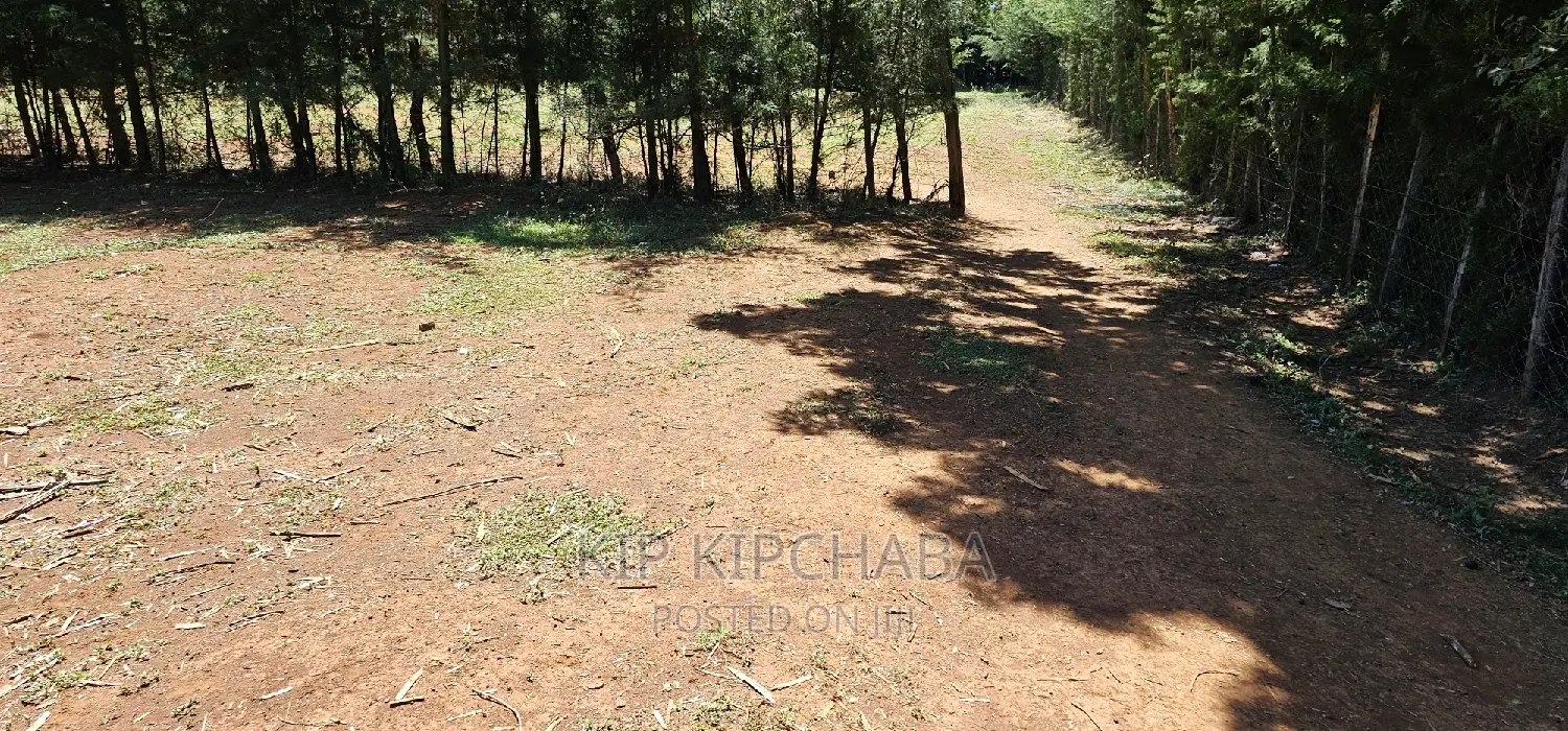 Elgonview Bordering Racecourse: Affordable Plots in Eldoret - Sell Today! in Elgon View