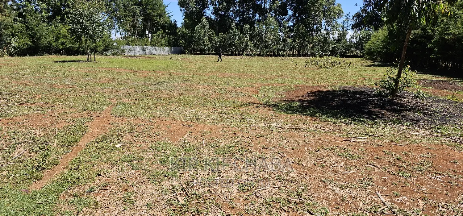 Elgonview Bordering Racecourse: Affordable Plots in Eldoret - Sell Today! in Elgon View