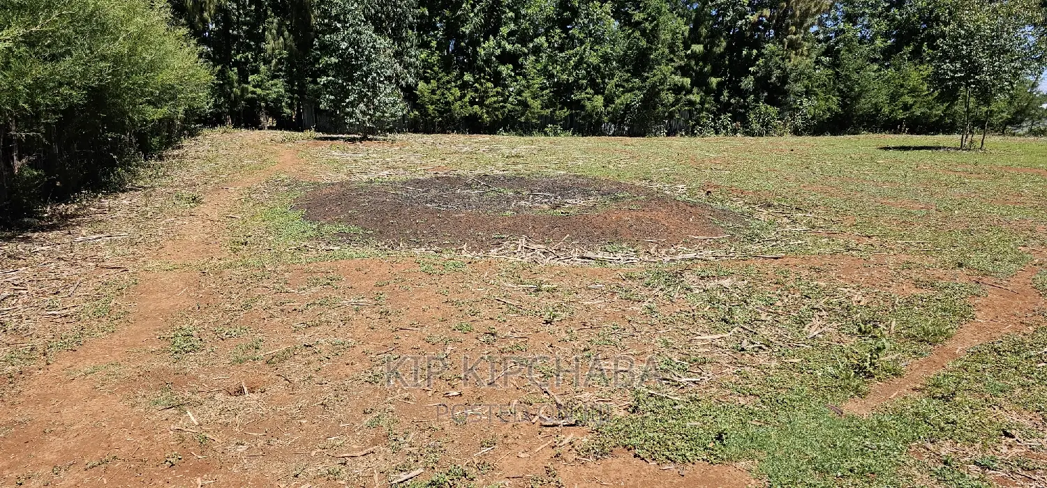 Elgonview Bordering Racecourse: Affordable Plots in Eldoret - Sell Today! in Elgon View