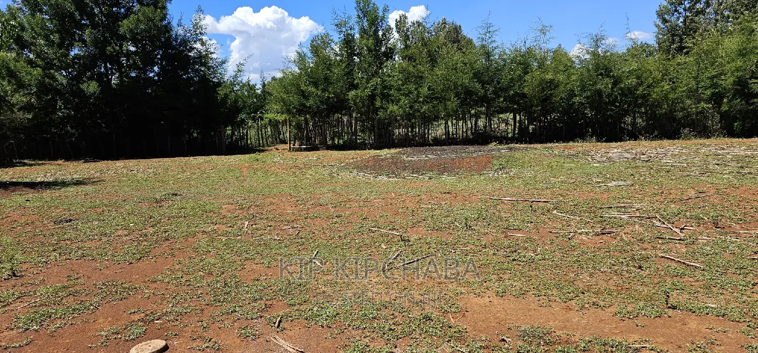 Elgonview Bordering Racecourse: Affordable Plots in Eldoret - Sell Today! in Elgon View