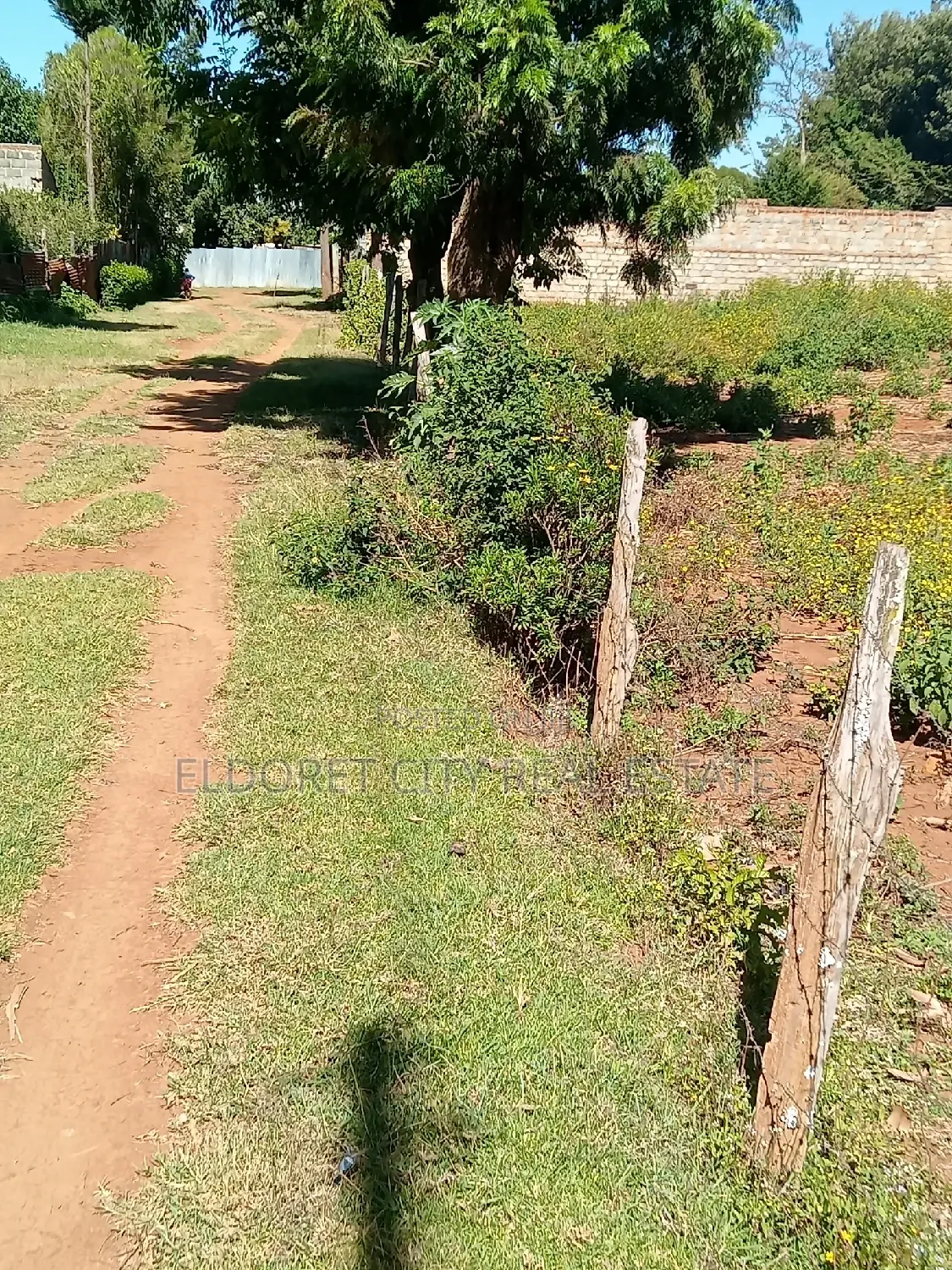 1/4 Kimumu. (Betterfarm )Ideal for Rental in Kapsuswa