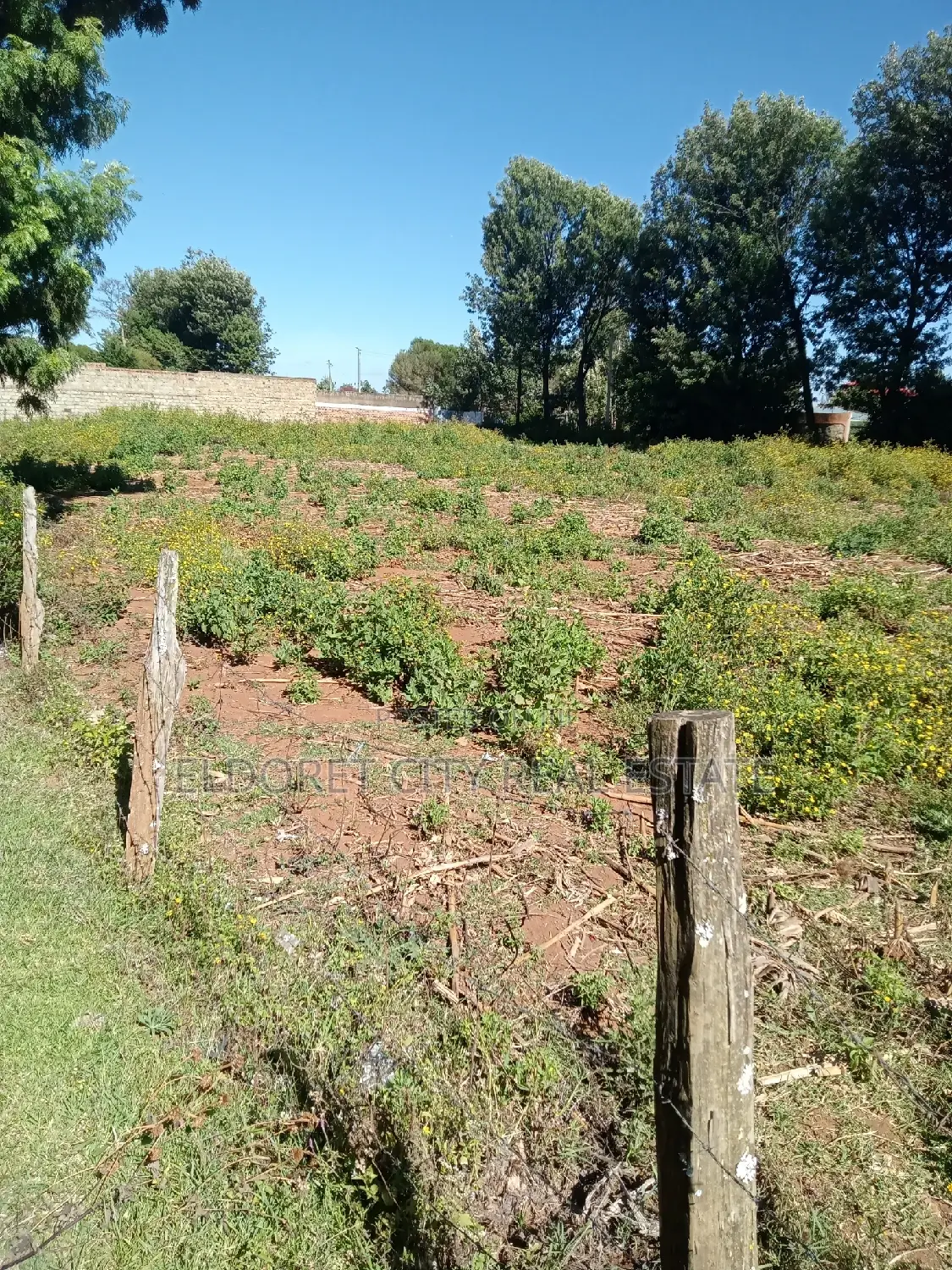 1/4 Kimumu. (Betterfarm )Ideal for Rental in Kapsuswa