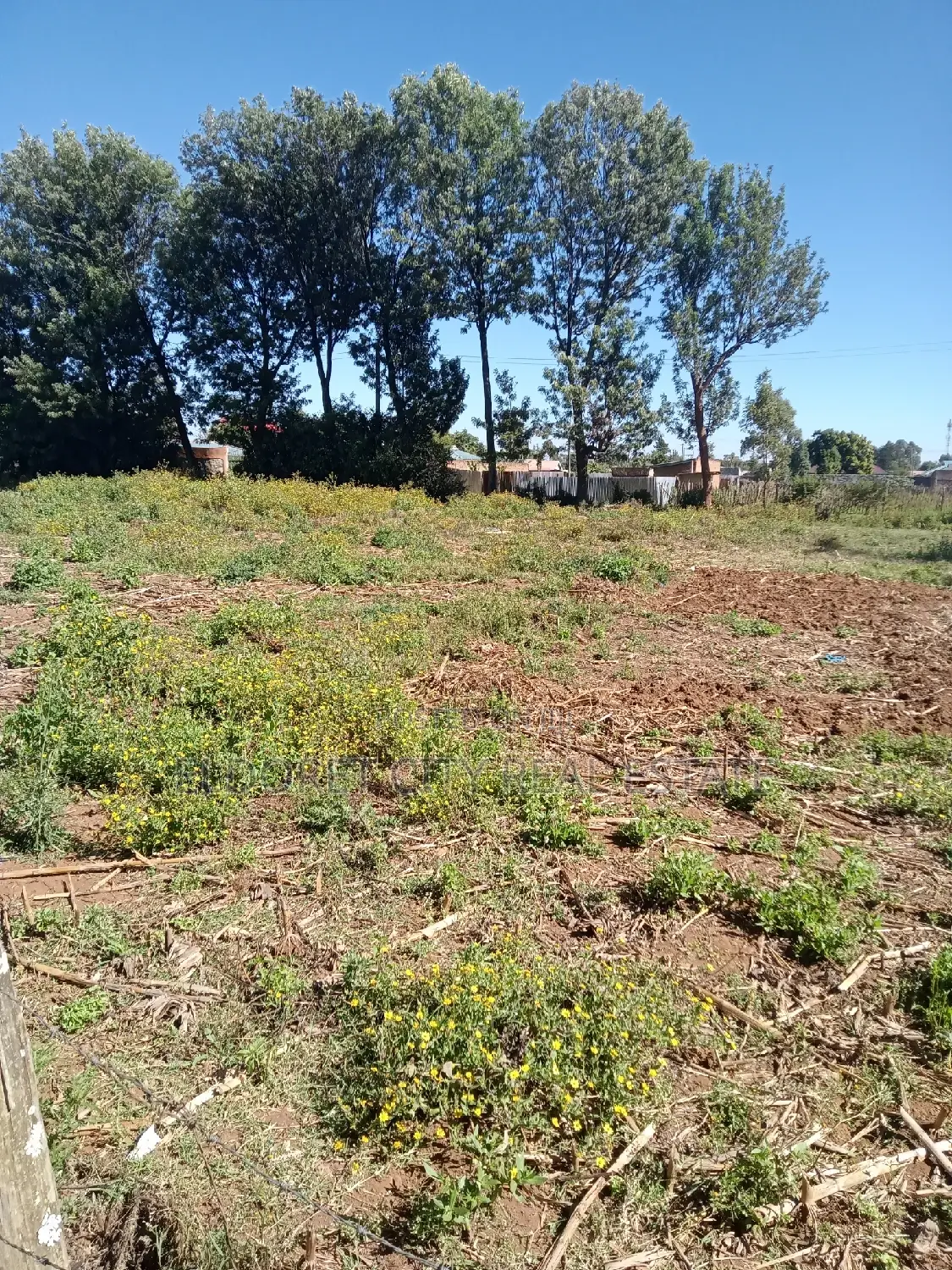 1/4 Kimumu. (Betterfarm )Ideal for Rental in Kapsuswa