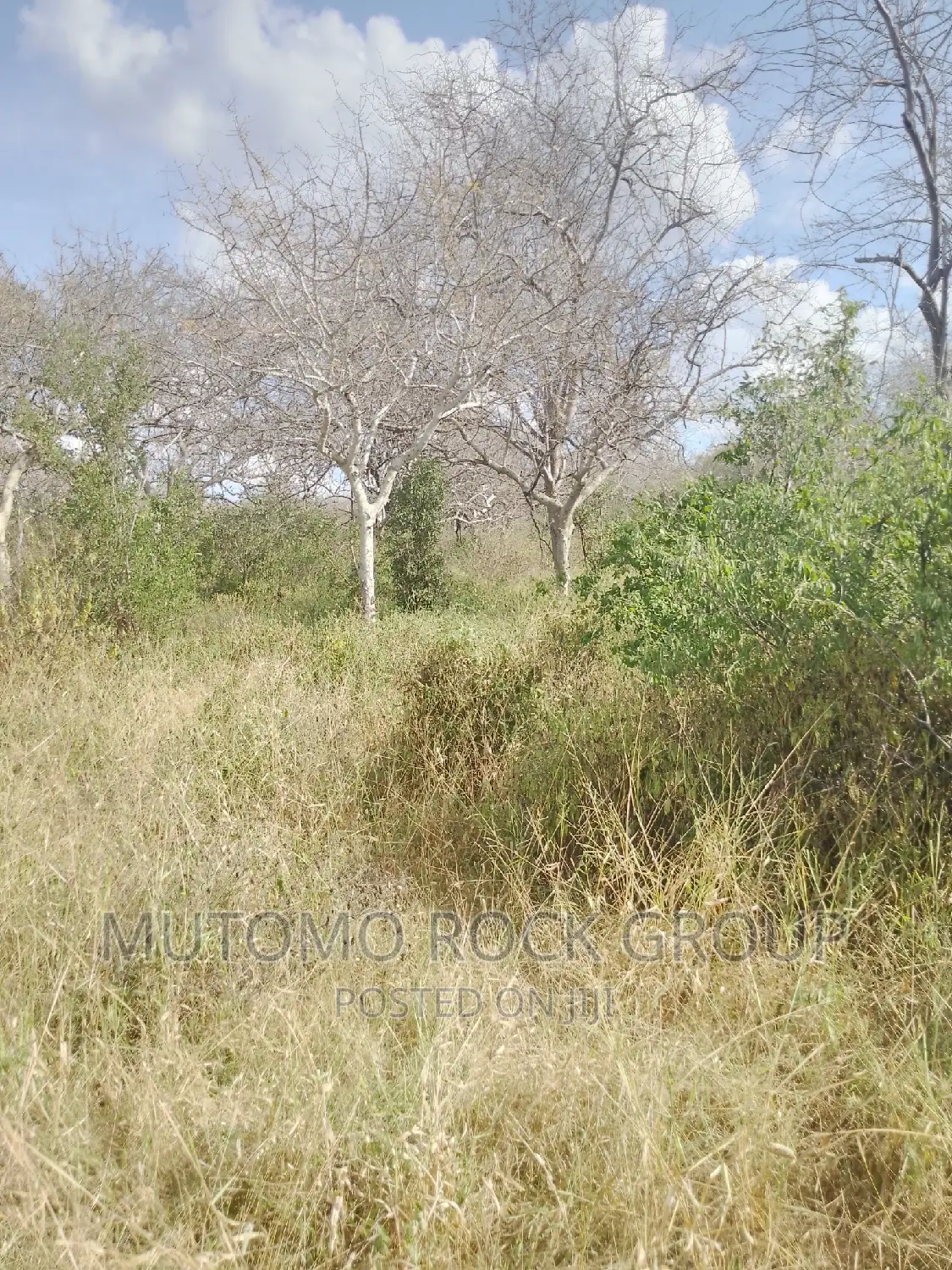 1500 Acres for Sale in Mutomo