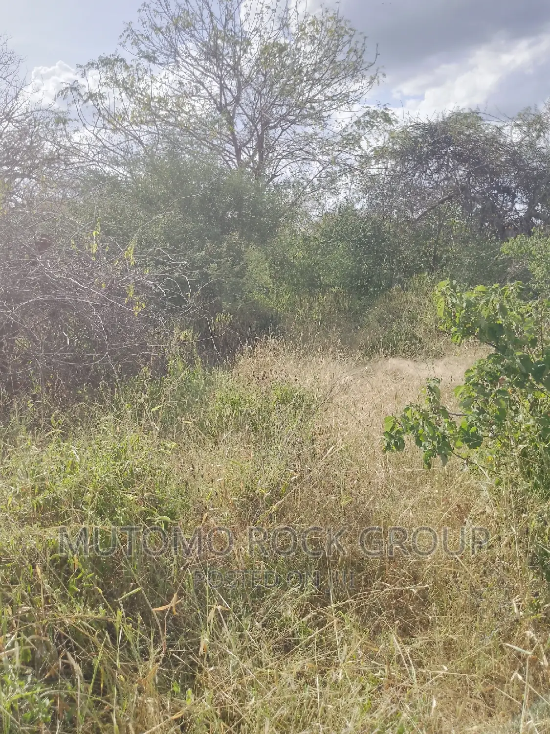 1500 Acres for Sale in Mutomo