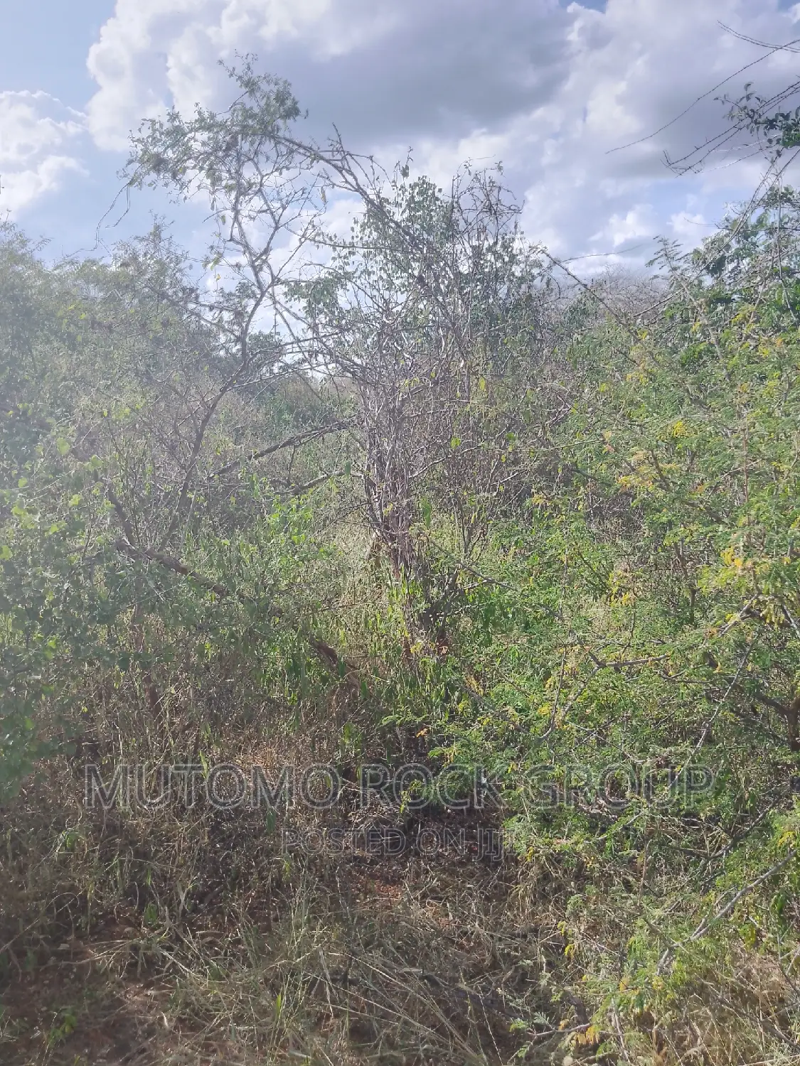 1500 Acres for Sale in Mutomo