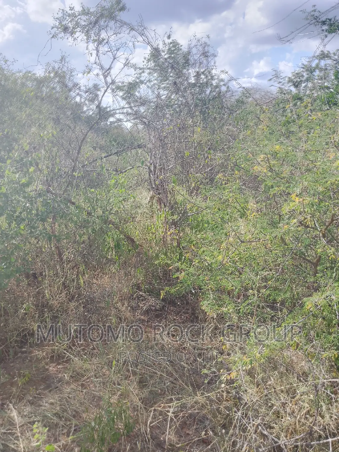 1500 Acres for Sale in Mutomo