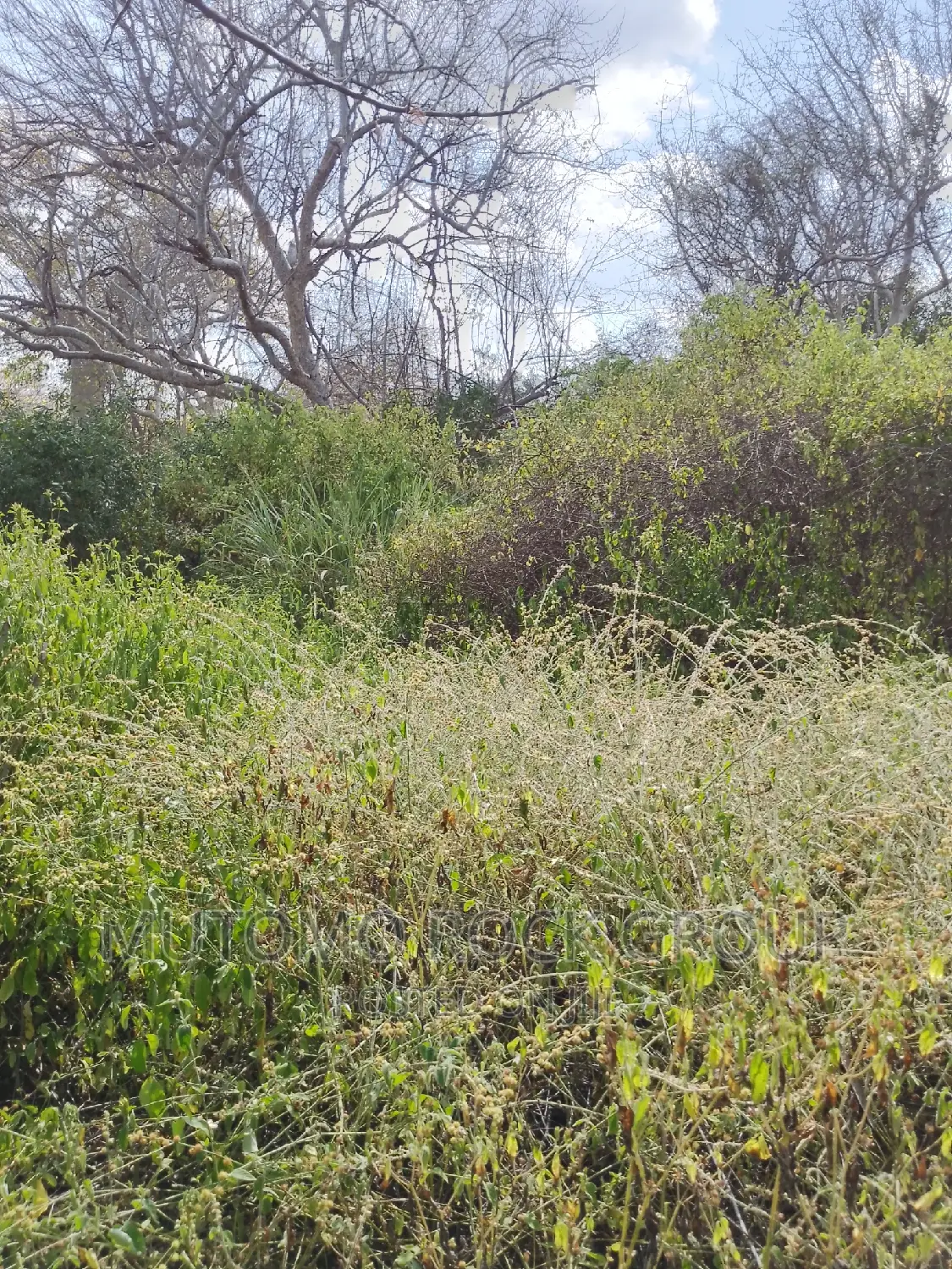10,000 Acres for Sale in Mutomo