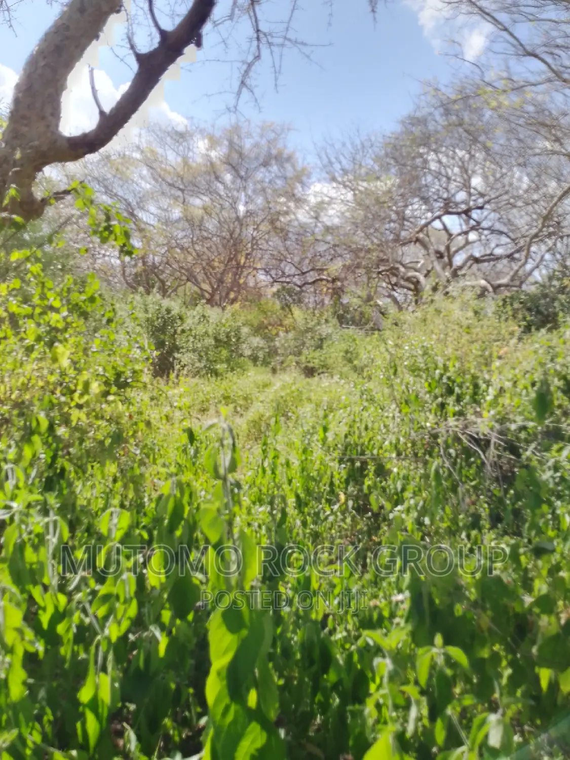 10,000 Acres for Sale in Mutomo
