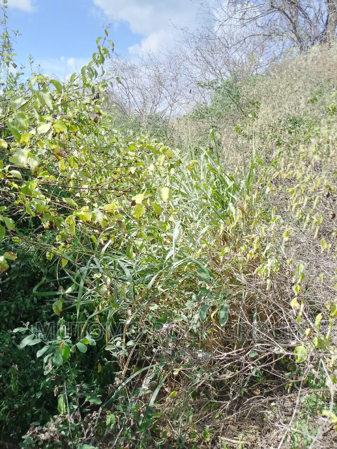 10,000 Acres for Sale in Mutomo