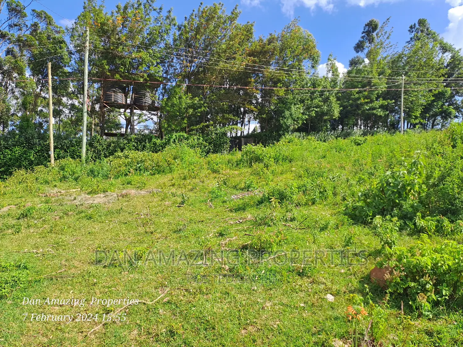 New Listing: 5-Acre Land for Sale Along Ngong Maragara Rd, Near Tarmac in Kibiku
