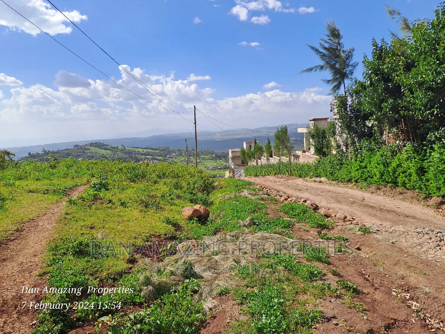 New Listing: 5-Acre Land for Sale Along Ngong Maragara Rd, Near Tarmac in Kibiku