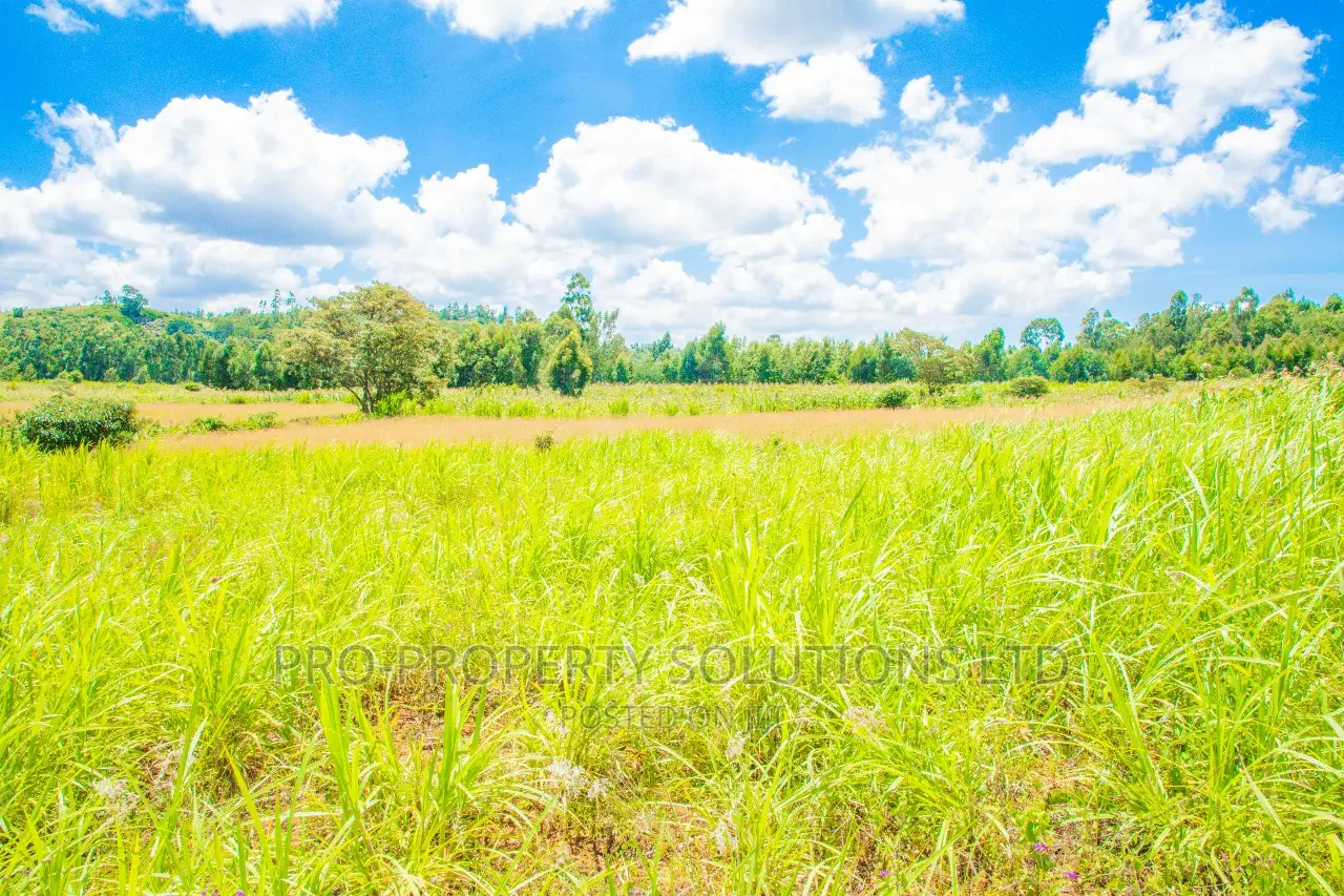 Residential Plots for Sale in Kikuyu, Lusigetti: Prime Location in Kikuyu