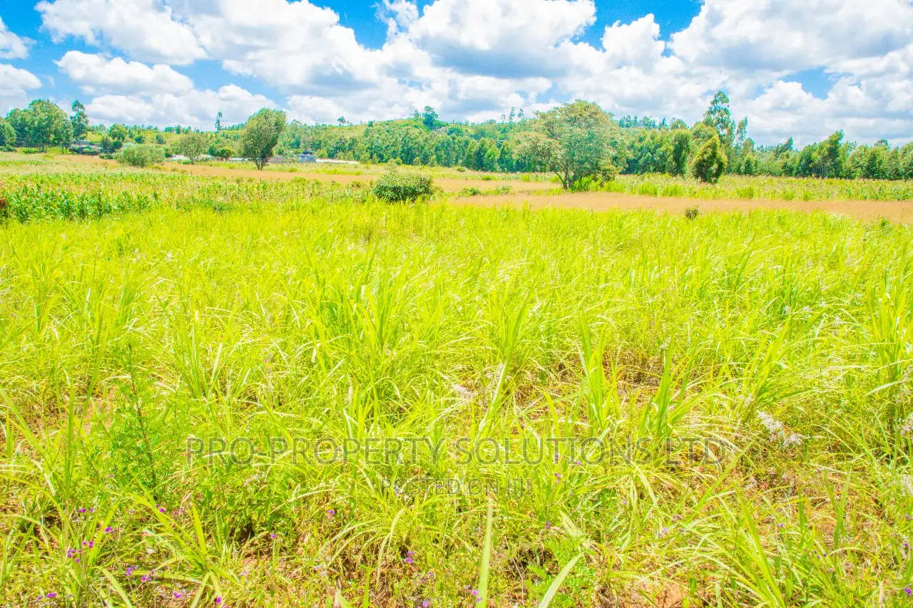 Residential Plots for Sale in Kikuyu, Lusigetti: Prime Location in Kikuyu