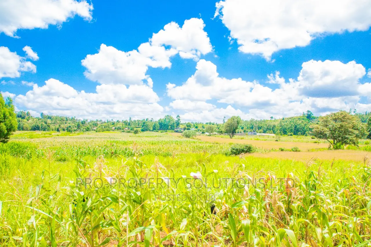 Residential Plots for Sale in Kikuyu, Lusigetti: Prime Location in Kikuyu
