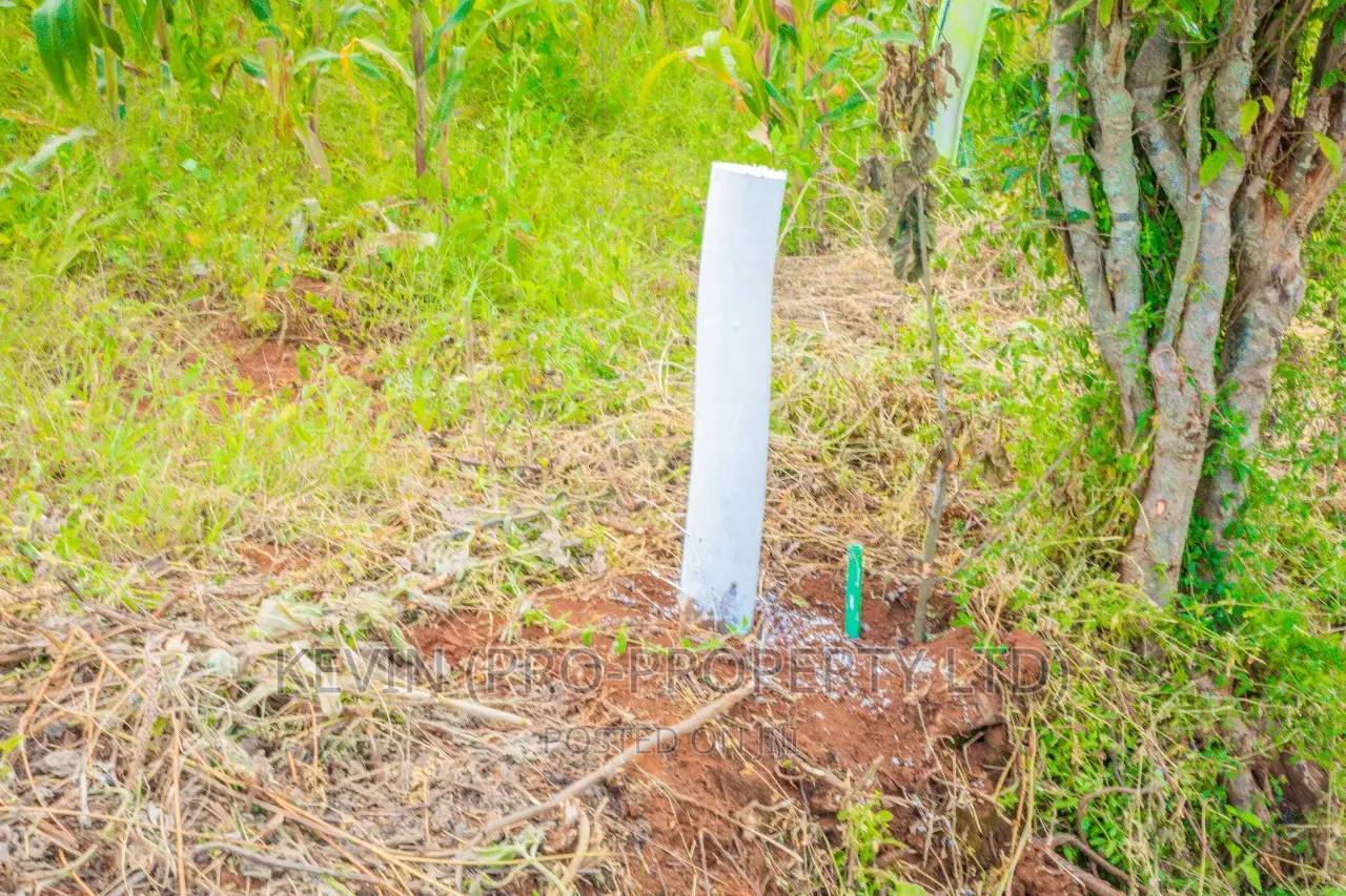Spacious Residential Plots for Sale in Gikambura, Jambu TV in Kikuyu