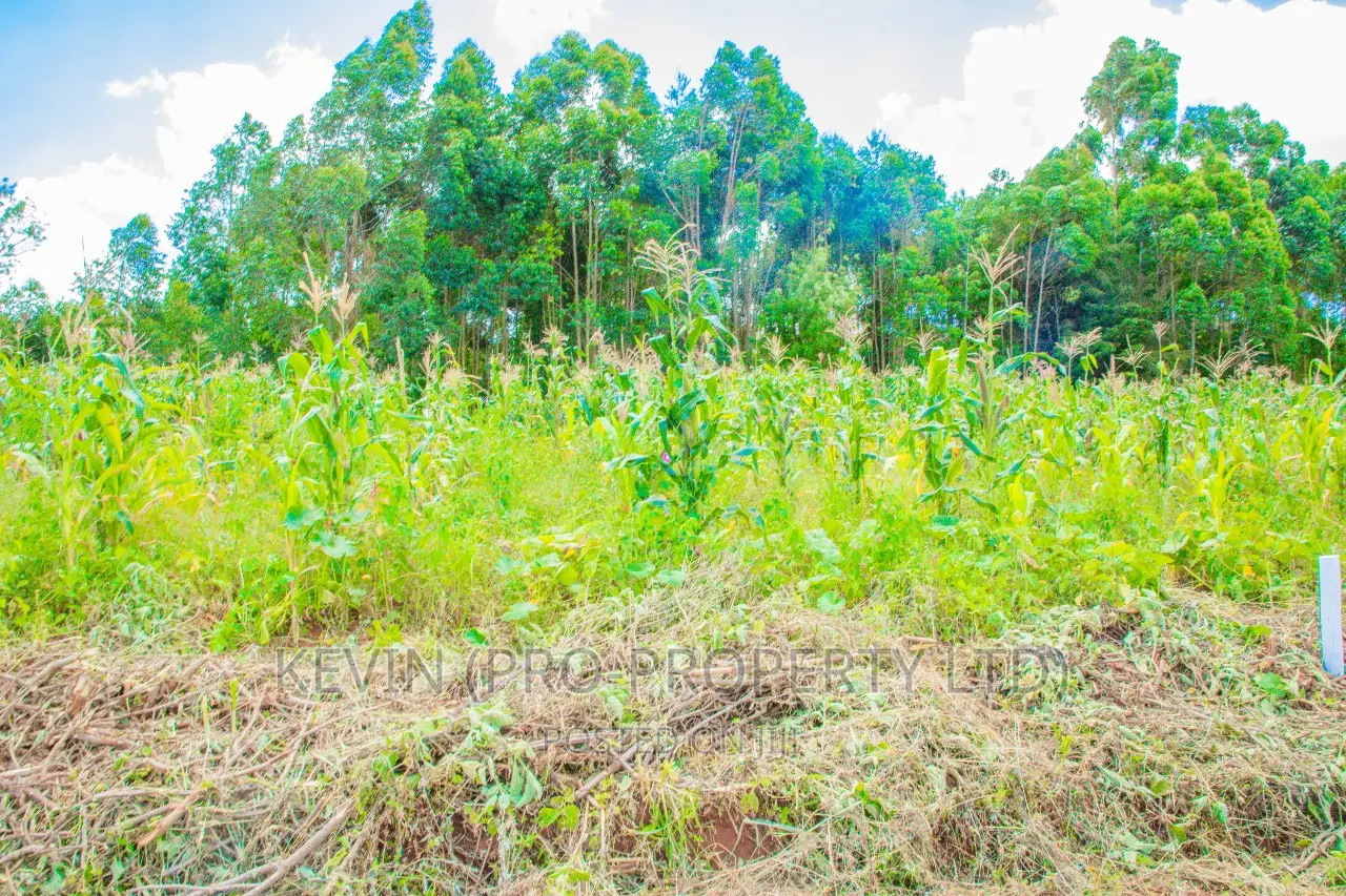 Spacious Residential Plots for Sale in Gikambura, Jambu TV in Kikuyu