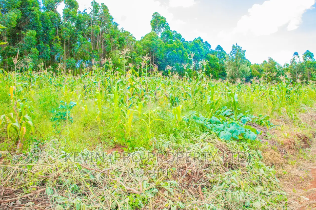 Spacious Residential Plots for Sale in Gikambura, Jambu TV in Kikuyu