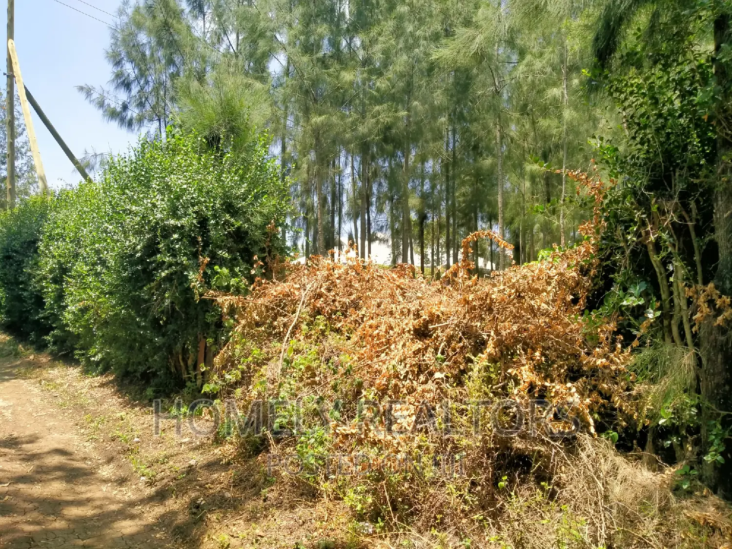 Eighth Acre Plot in Kiserian, Kaurai - Beautifully Wooded, Ideal for Nature Lovers in Kiserian