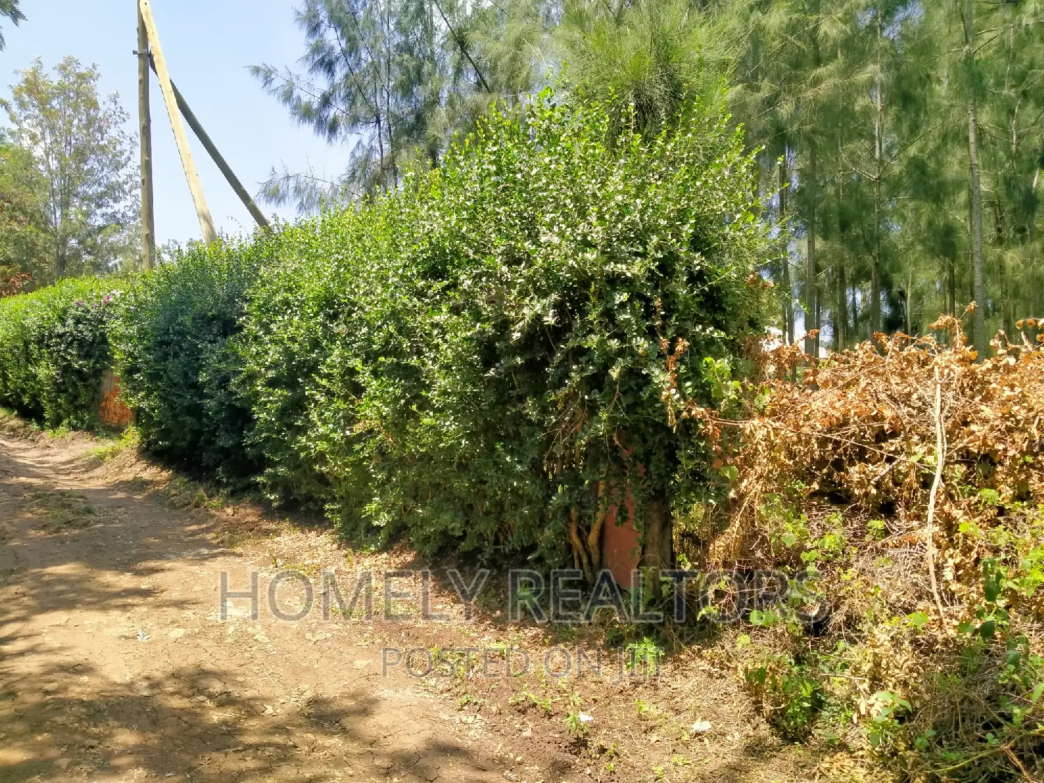 Eighth Acre Plot in Kiserian, Kaurai - Beautifully Wooded, Ideal for Nature Lovers in Kiserian