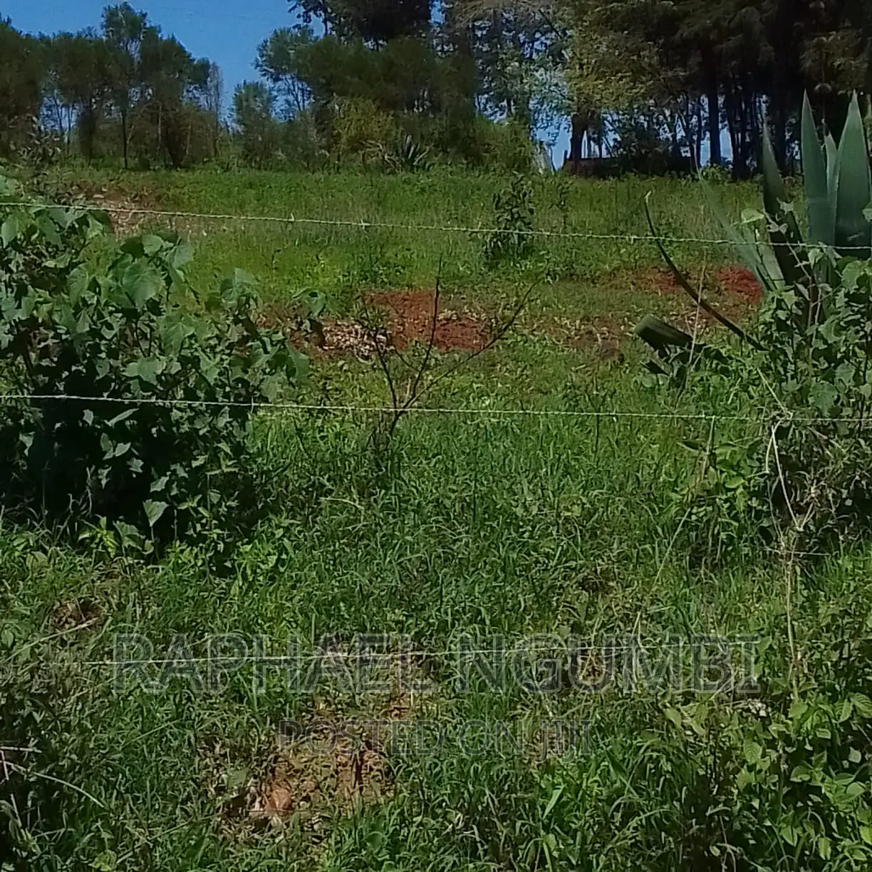 10 Acres at Mua Kitanga. in Mua