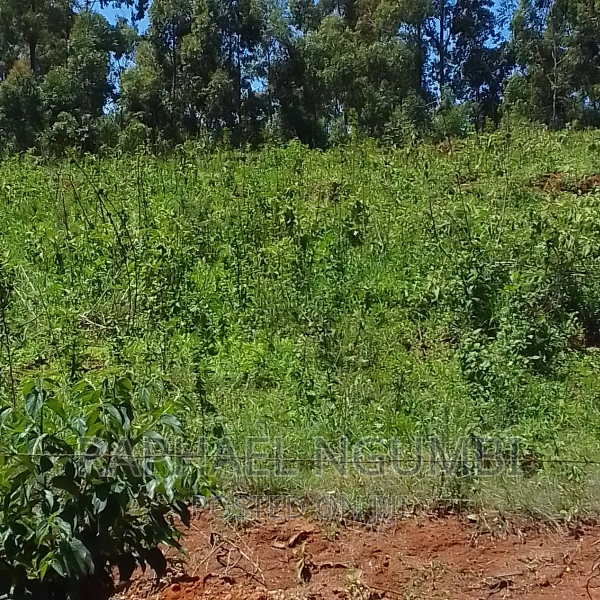 10 Acres at Mua Kitanga. in Mua