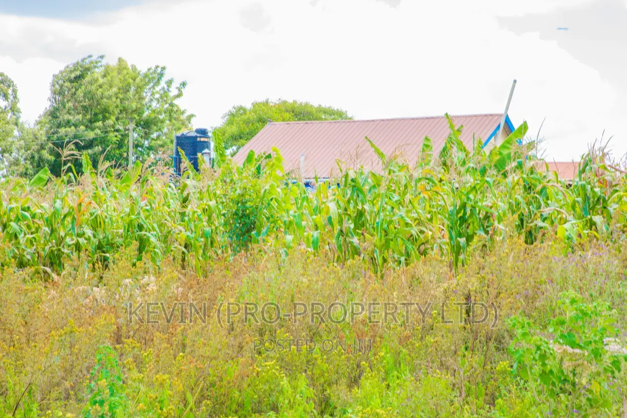 Residential Half Acre Land in Kikuyu, Rosegate - Seize the Opportunity Today in Kikuyu
