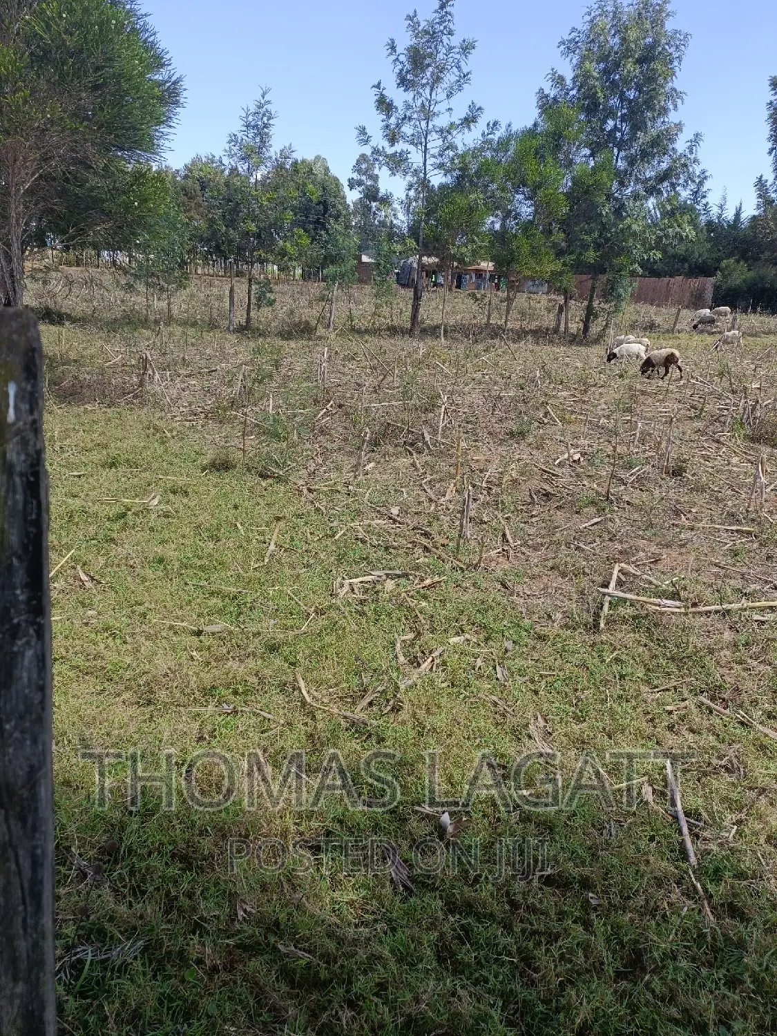 Discover Your New Home: Prime 1/4 Acre Plots in Eldoret for in Wareng