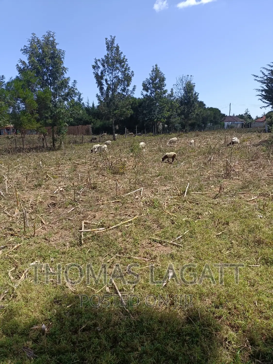 Discover Your New Home: Prime 1/4 Acre Plots in Eldoret for in Wareng