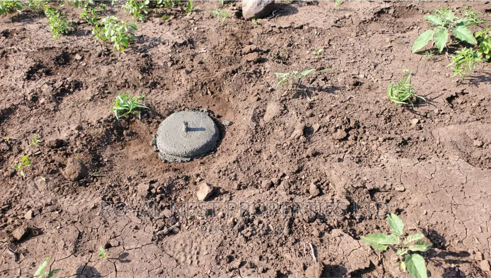 5 Acre Land for Sale in Tinga / Oletepesi in Kiserian