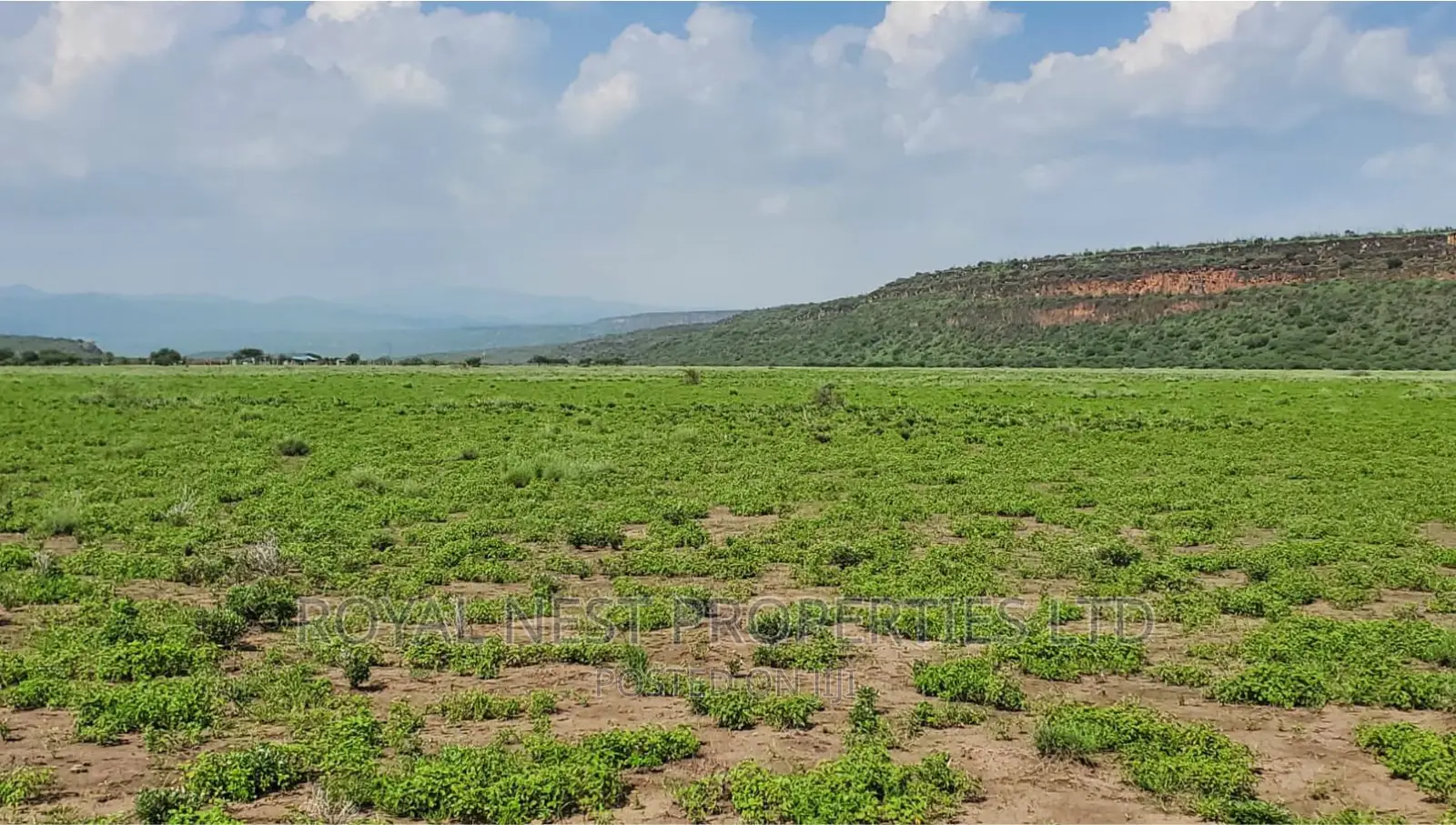 5 Acre Land for Sale in Tinga / Oletepesi in Kiserian