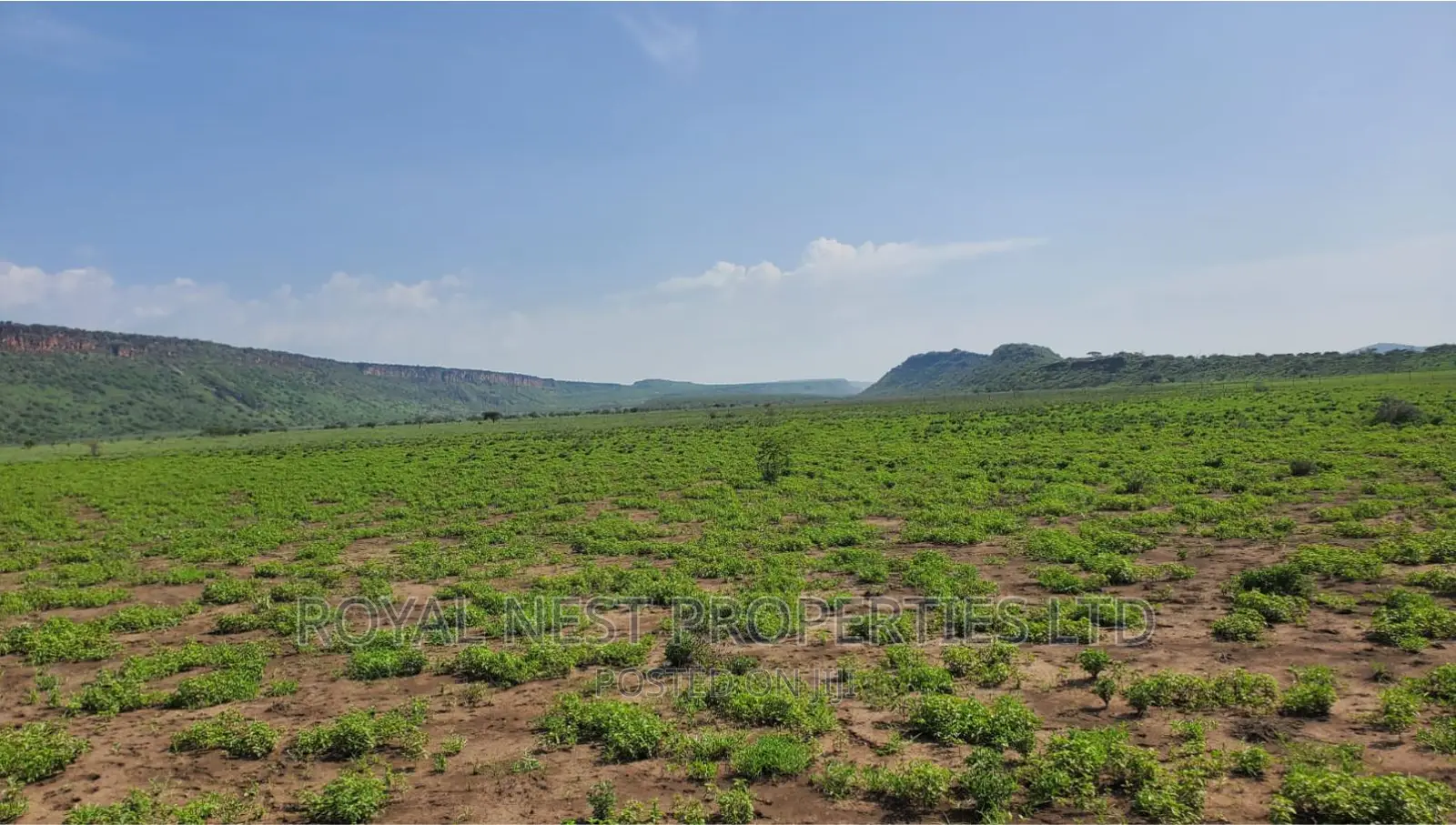 5 Acre Land for Sale in Tinga / Oletepesi in Kiserian