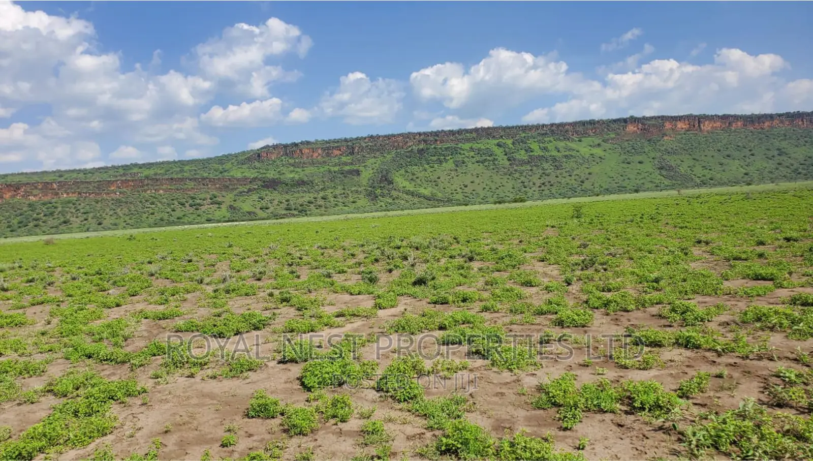 5 Acre Land for Sale in Tinga / Oletepesi in Kiserian