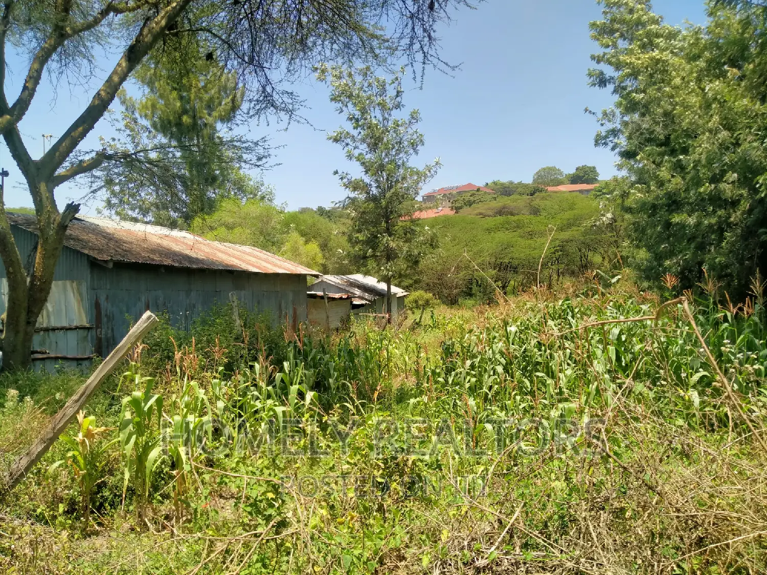 Ideal Quarter Acre Property in Ongata Rongai: Close Proximity to Tarmac in Kandisi