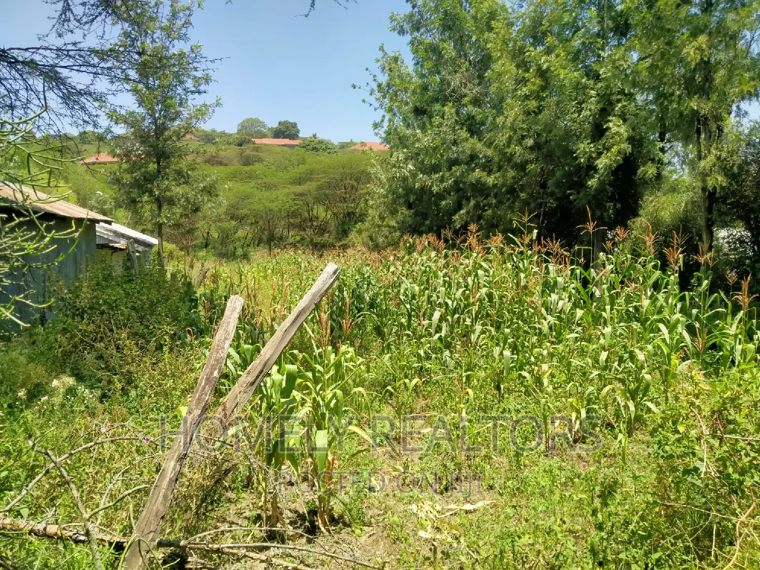 Ideal Quarter Acre Property in Ongata Rongai: Close Proximity to Tarmac in Kandisi