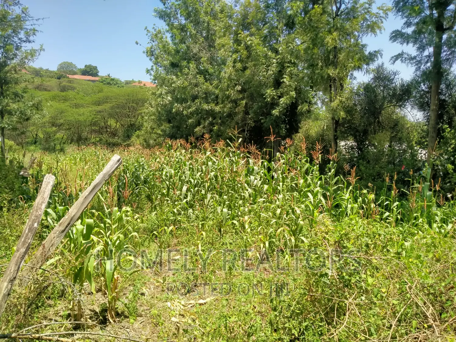 Ideal Quarter Acre Property in Ongata Rongai: Close Proximity to Tarmac in Kandisi