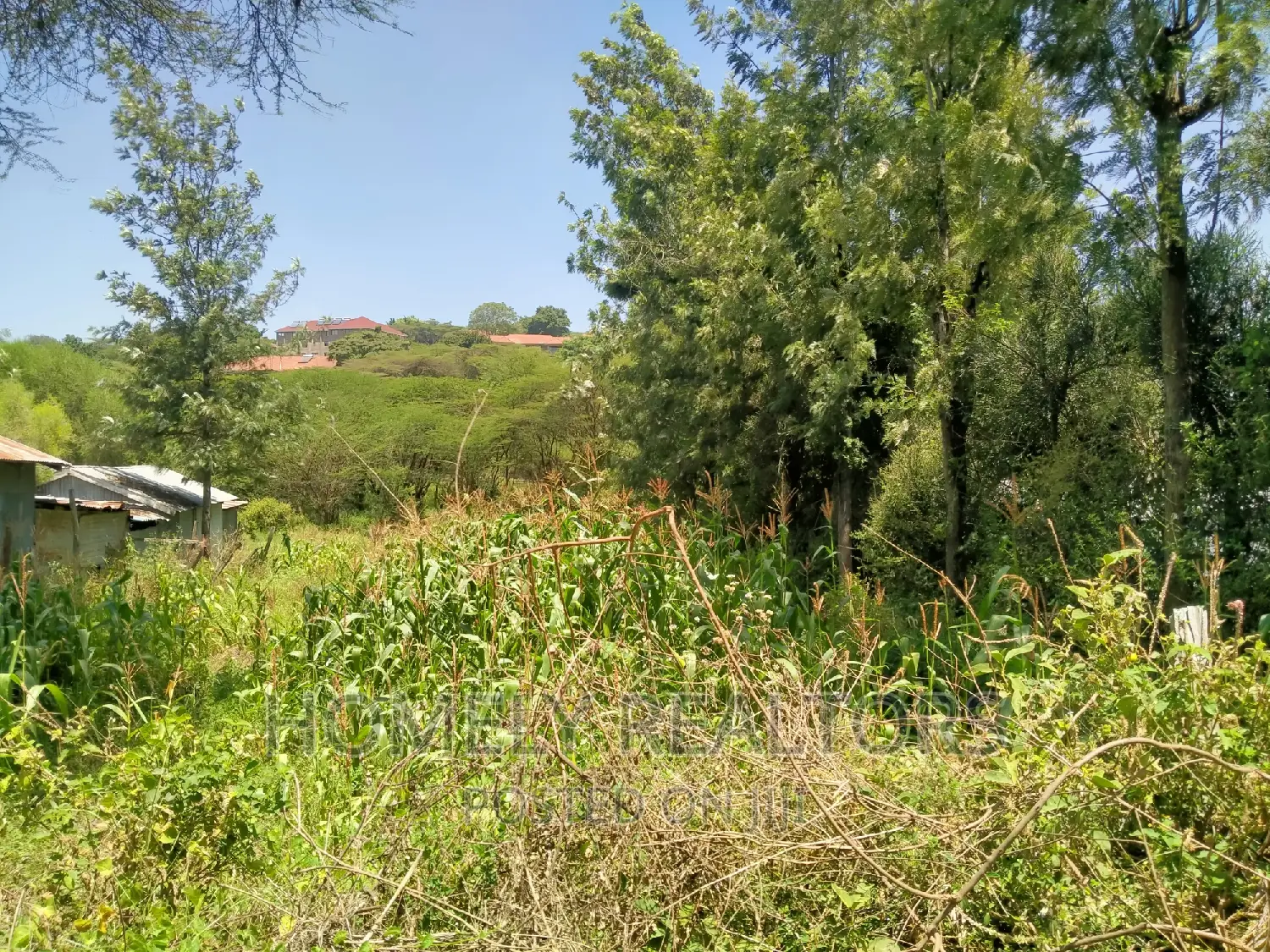 Ideal Quarter Acre Property in Ongata Rongai: Close Proximity to Tarmac in Kandisi