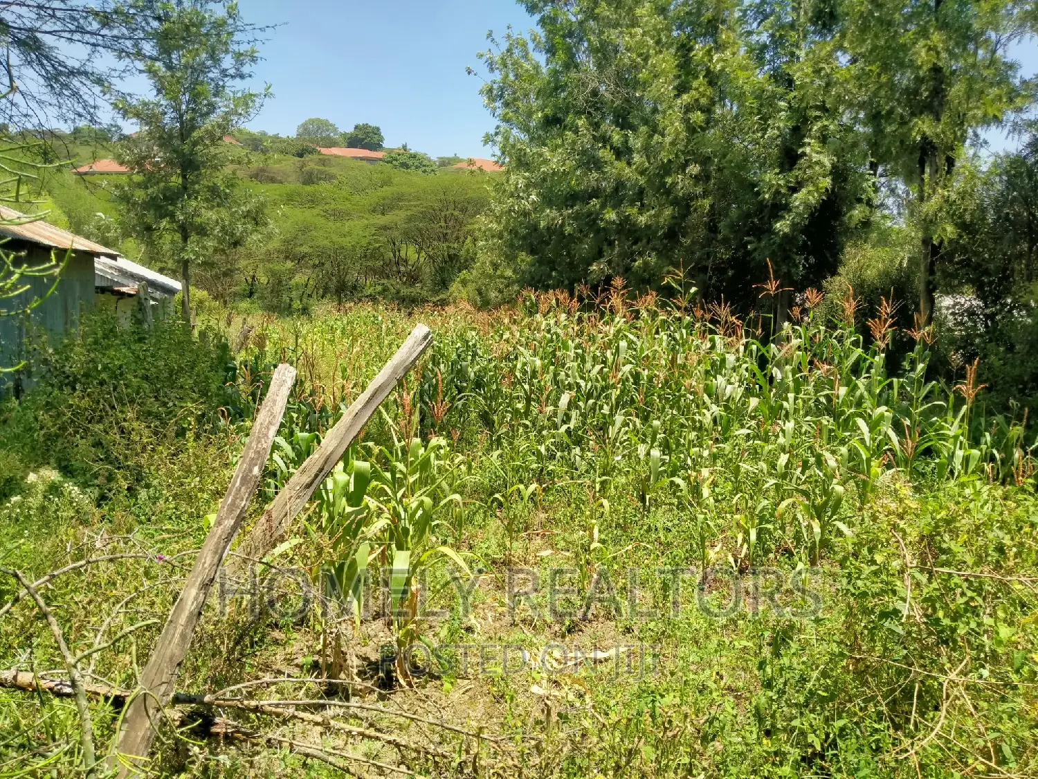 Ideal Quarter Acre Property in Ongata Rongai: Close Proximity to Tarmac in Kandisi